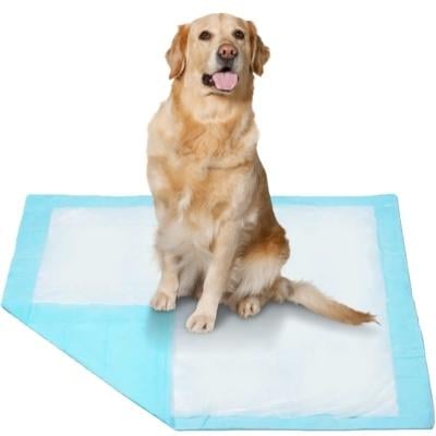 &nbsp;Premium Puppy & Pet Pads&nbsp;- Blue
