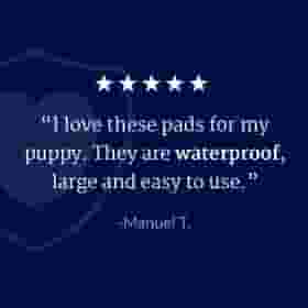 NorthShore Economy Puppy Pads