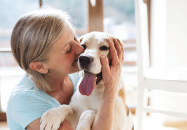 Top Pads for Puppy Training and Pet Incontinence