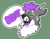 Mutt Profile Pic