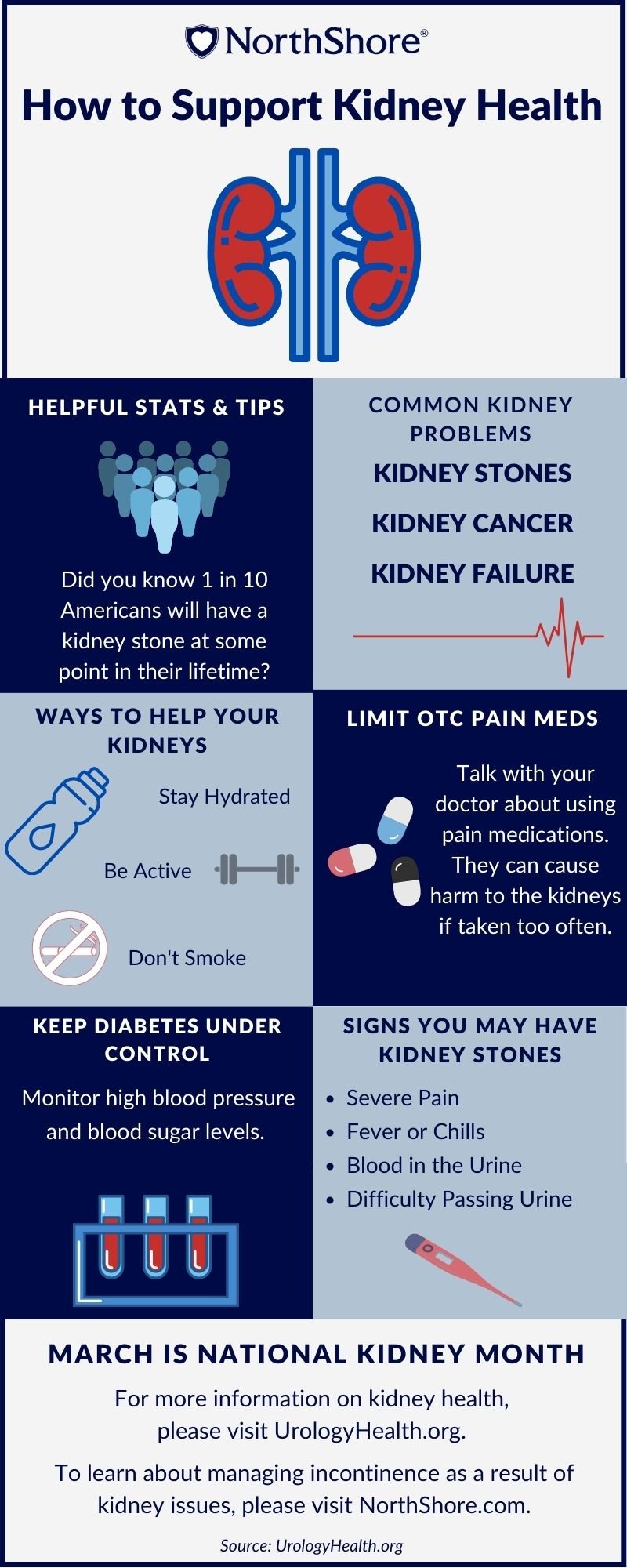 An infographic of kidney health information covered in text below.