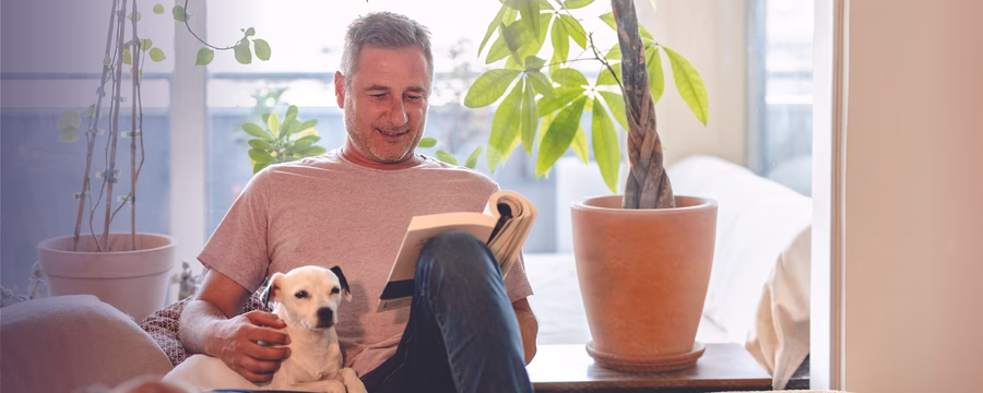 A man sits on a bed reading a book while petting a small white dog, with another dog in the foreground and several large houseplants by bright windows in the background.
