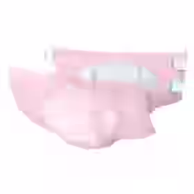 NorthShore MegaMax Lite 6-Hour Diaper Style Briefs