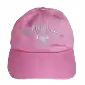 NorthShore Embroidered Hats